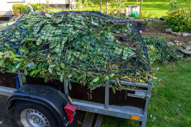 Best Hoarding Cleanup  in Long Beach, IN